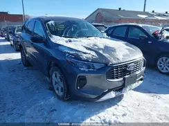 1FMCU0GN8RUB31407 2024 FORD ESCAPE