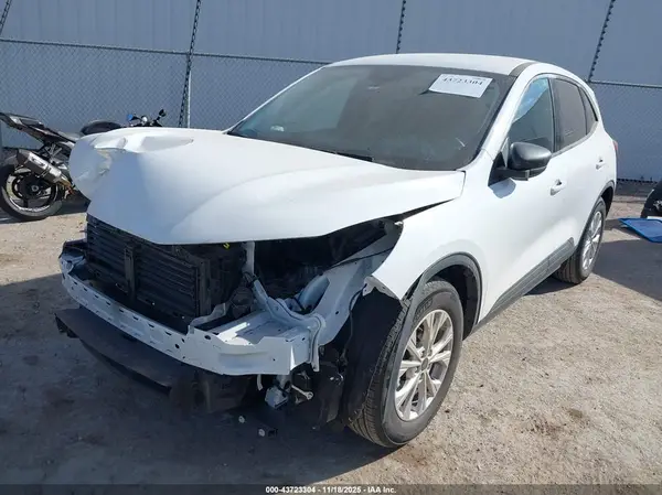 1FMCU0GN8RUB55528 2024 FORD ESCAPE - Image 2