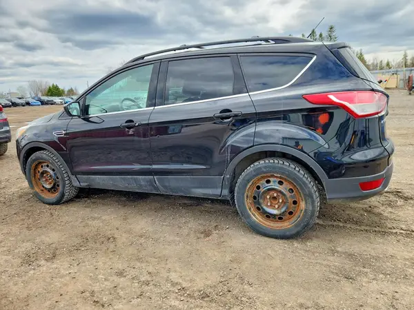 1FMCU0GX4GUB49112 2016 FORD ESCAPE - Image 2