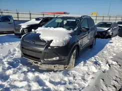 1FMCU0GX7GUA21205 2016 FORD ESCAPE