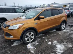 1FMCU0GX7GUB44194 2016 FORD ESCAPE