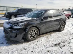1FMCU0H61LUC20203 2020 FORD ESCAPE
