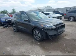 1FMCU0H64LUC03556 2020 FORD ESCAPE