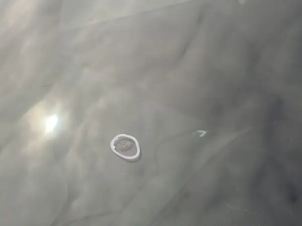 1FMCU0HD2JUA75717 2018 FORD ESCAPE - Image 2