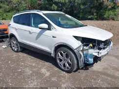 1FMCU0J93HUA48123 2017 FORD ESCAPE