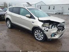 1FMCU0J97HUE68421 2017 FORD ESCAPE