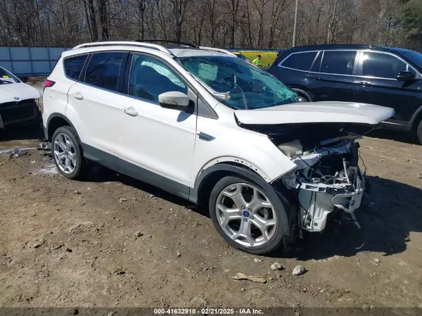 1FMCU0JD6HUE01006 2017 FORD ESCAPE - Image 1