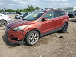 1FMCU0JXXGUA38007 2016 FORD ESCAPE