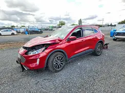 1FMCU0LZ8MUA53647 2021 FORD ESCAPE