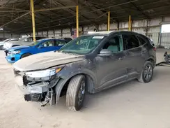 1FMCU0MN0RUA11251 2024 FORD ESCAPE