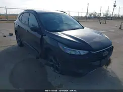 1FMCU0MN0RUA83826 2024 FORD ESCAPE