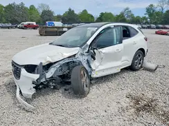 1FMCU0MN4RUB29903 2024 FORD ESCAPE