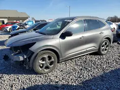 1FMCU0MN6RUB31586 2024 FORD ESCAPE