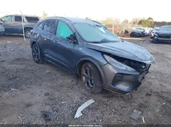 1FMCU0MN7RUA33098 2024 FORD ESCAPE