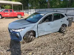 1FMCU0MN7RUB11816 2024 FORD ESCAPE
