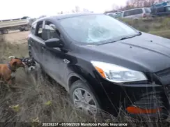 1FMCU9FX7GUC31261 2016 FORD ESCAPE