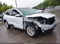 1FMCU9G61LUA09038 2020 FORD ESCAPE