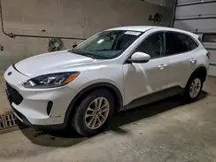 1FMCU9G61LUA77856 2020 FORD ESCAPE