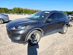 1FMCU9G61LUB22245 2020 FORD ESCAPE