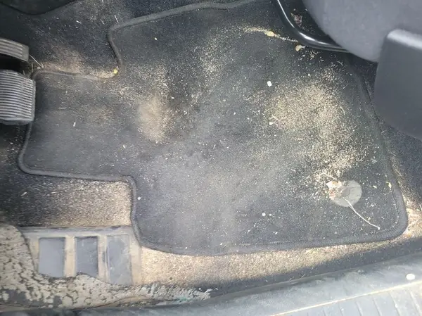 1FMCU9G61MUA52487 2021 FORD ESCAPE - Image 8