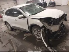 1FMCU9G62LUB25719 2020 FORD ESCAPE