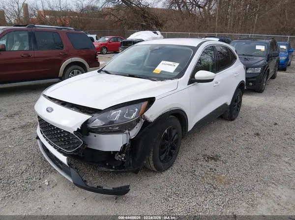 1FMCU9G62LUB84253 2020 FORD ESCAPE - Image 2
