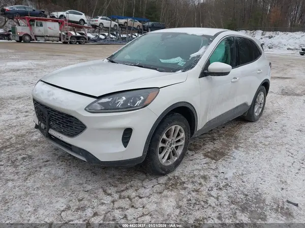 1FMCU9G63LUB54114 2020 FORD ESCAPE - Image 2