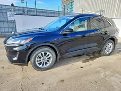 1FMCU9G64LUA17621 2020 FORD ESCAPE