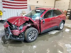 1FMCU9G64LUA43782 2020 FORD ESCAPE