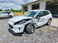 1FMCU9G64LUA81559 2020 FORD ESCAPE