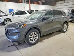 1FMCU9G66LUA56517 2020 FORD ESCAPE
