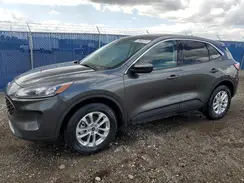 1FMCU9G66LUB52244 2020 FORD ESCAPE