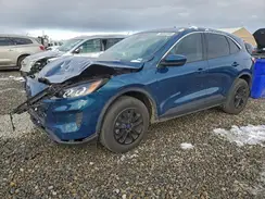 1FMCU9G66LUB81646 2020 FORD ESCAPE