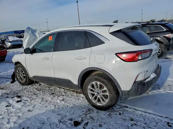 1FMCU9G67LUB63365 2020 FORD ESCAPE - Image 2