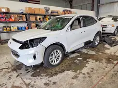 1FMCU9G68LUB03501 2020 FORD ESCAPE