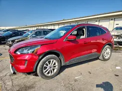 1FMCU9G69LUA08946 2020 FORD ESCAPE
