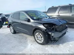 1FMCU9G6XLUB52229 2020 FORD ESCAPE