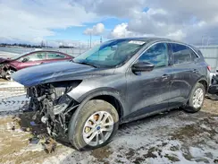 1FMCU9G6XLUC64206 2020 FORD ESCAPE