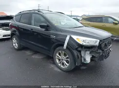 1FMCU9G90HUD79365 2017 FORD ESCAPE