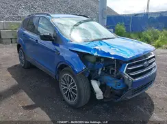 1FMCU9G90HUE78929 2017 FORD ESCAPE