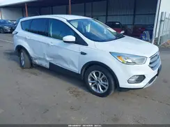 1FMCU9G92HUB05407 2017 FORD ESCAPE