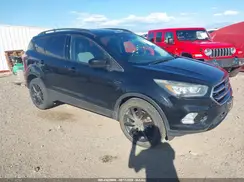 1FMCU9G92HUD59019 2017 FORD ESCAPE