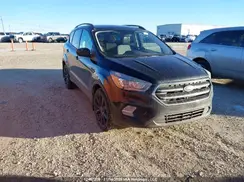 1FMCU9G92HUD79822 2017 FORD ESCAPE