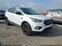 1FMCU9G96HUD89558 2017 FORD ESCAPE
