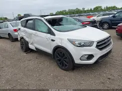 1FMCU9G97HUE31249 2017 FORD ESCAPE