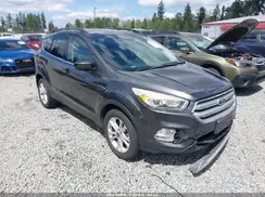 1FMCU9G98HUD78206 2017 FORD ESCAPE