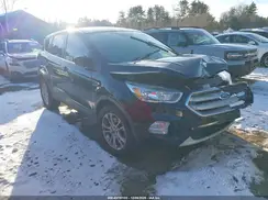 1FMCU9G98HUD98617 2017 FORD ESCAPE