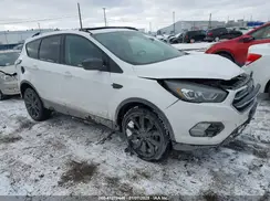1FMCU9GD0HUC46190 2017 FORD ESCAPE