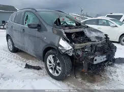 1FMCU9GD0HUE93029 2017 FORD ESCAPE