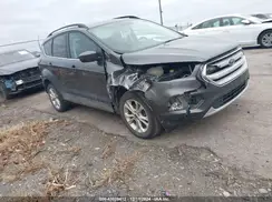 1FMCU9GD0KUB54973 2019 FORD ESCAPE